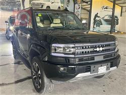 بي واي دي ليوبارد 5